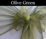 Organza Olive Green