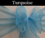 Organza Turquoise